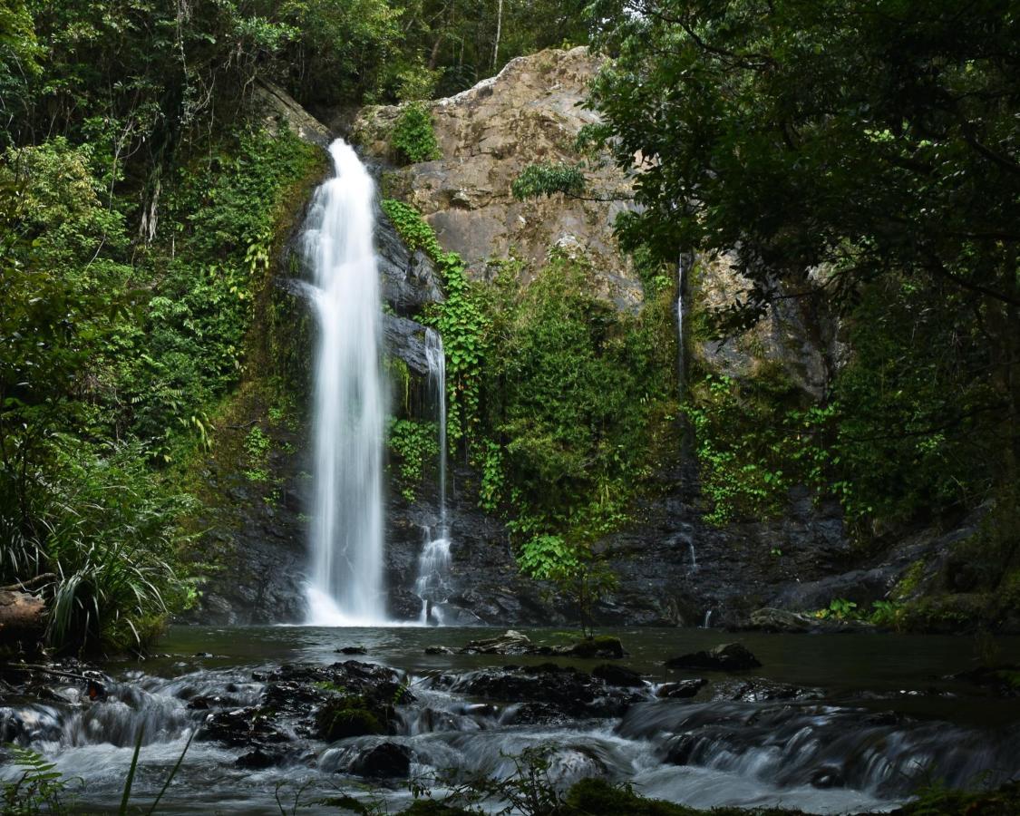 Cassowary Falls Gateway デインツリー エクステリア 写真